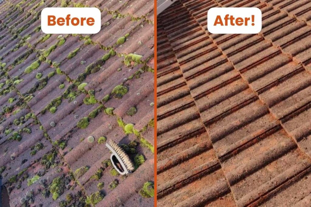 roof cleaning bangor belfast