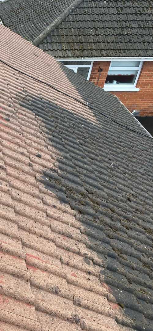 Roof Cleaning Belfast
